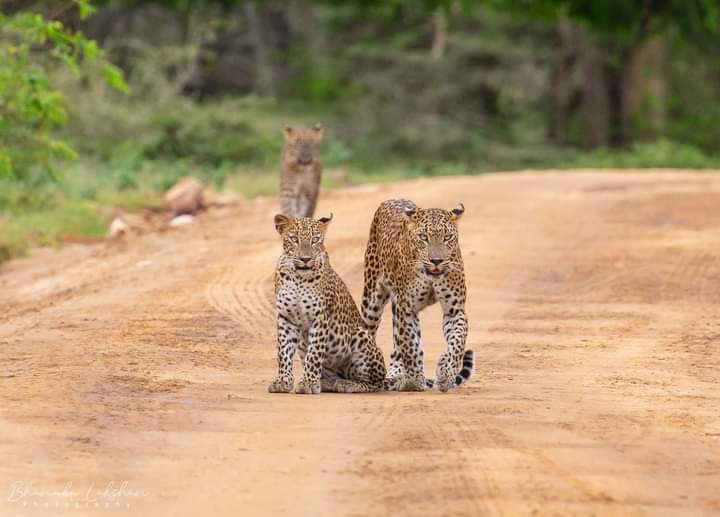 whatsapp image 2024 09 20 at 12.56.19 2664d2db 1